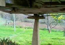 Vista de la plantación de arándanos y manzanos desde debajo del hórreo